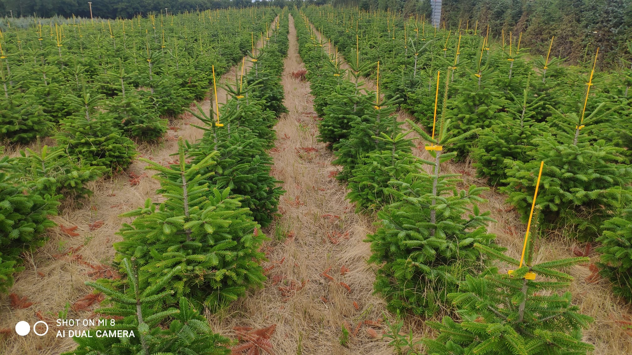 WhatsApp Image 2024-09-30 at 13.54.00